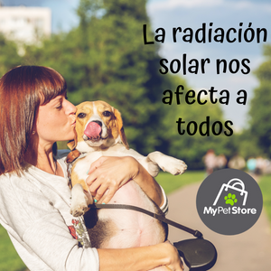 Radiación solar en las mascotas