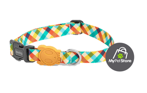 ZEEDOG: COLLAR DE PERRO MODELO PHANTOM
