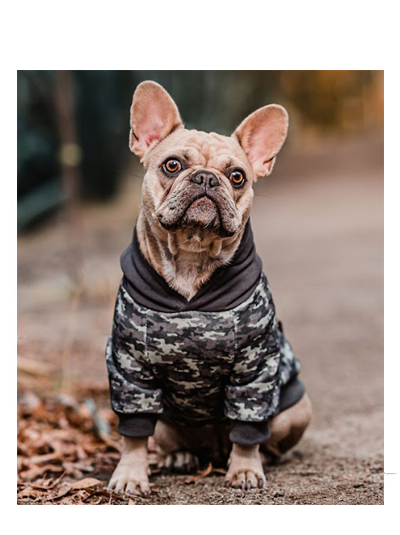 ROPA: HOODIE CAMOUFLAGE