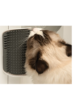 CEPILLO MASAJEADOR  DE PARED PARA GATO - CATIT