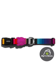 ZEEDOG: COLLAR DE PERRO MODELO PRISMA